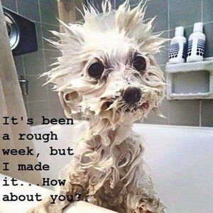 Time for some shopping therapy!